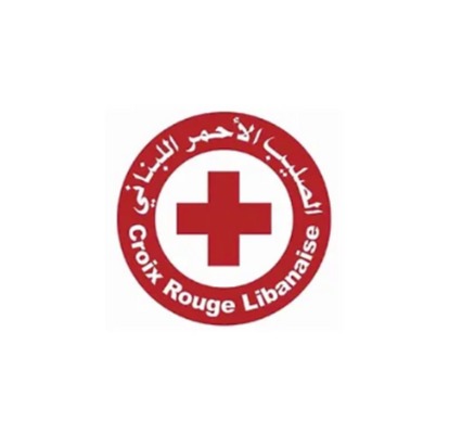 Lebanese Youth Network activities