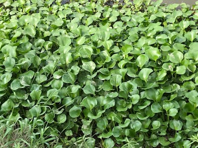 Advocacy & Awareness